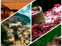 تورهای گروهی یک و چند روزه