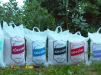 برنج هاشمی گیلان ممتاز