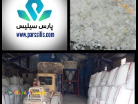 پارس سیلیس