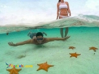 اجاره واحد های لوکس در کیش