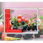 ارائه نهالهای کمیاب  'بلوبری-گوجی بری قرمز و سیاه-فیسالیس و...'