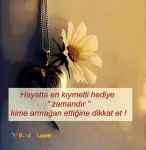 مترجم و مدرس زبان ترکی