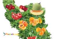 صادرات میوه