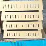 کارتن جوجه ۱ روزه 