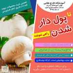 آموزشگاه پرورش قارچ