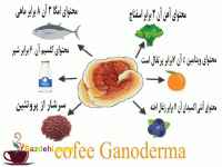 مرکز مشاوره تخصصی و فروش تمامی محصولات قارچ گانودرما  اصل در تهران | قهوه گانودرما | پودر قارچ گانودرما | قرص  گانودرما | کپسول گانودرما | قارچ گانودرما