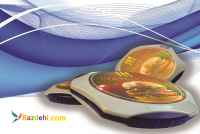 فراخوان مشتری تیک (Tick Pager)