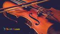 آموزش خصوصی و تخصصی ویولن