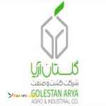 سیب‌زمینی نیمه آماده گلاسون 