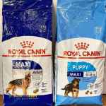 غذای سگ رویال کنین مخصوص سگ بالغ نژاد بزرگ (۱۵ کیلوگرم)