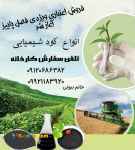 کود شیمیایی سبزینه مارال یزد