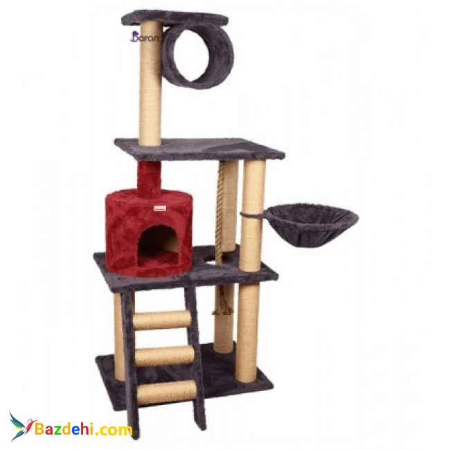 اسکرچر و درخت گربه