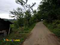 فروش زمین 2800 متر با جواز و سند گیلان 