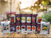 شرکت گبرگ پامچال