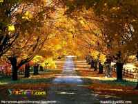 فروش و تعمیرات انواع لوازم گاز سوز