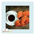 فروش قارچ گانودرما (خالص)