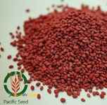 شرکت بازرگانی رازبان