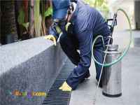 سم پاشی قدسسمپاشی منازل موریانه سوسک