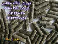 فروش تفاله چغندر