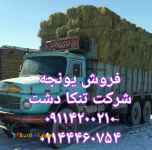 فروش یونجه خشک و انباری