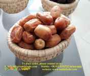 فروش خرمای زاهدی