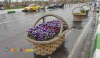 گلدان سبدی فایبرگلاس جهت زیباسازی شهر