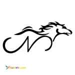 فروشگاه اینترنتی نیکان بایک