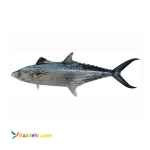 خرید آنلاین ماهی و میگو تازه