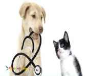 درمانگاه تخصصی دامپزشکی در لواسان