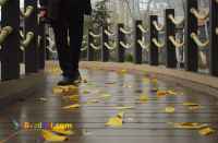 فروش ویژه ترموود