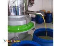 فروش روغن زیتون مستقیم از کارخانه