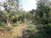 فروش زمین باغ کوهستانی طرح هادی در اطاقور