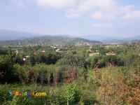 فروش باغ با پروانه طرح هادی اطاقور