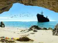 تور کیش تخصص ماست 