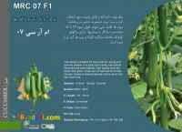 جشنواره تخفیف ویژه بذر خیار در ارقام مختلف 