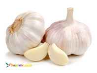 پوست گیر بادی (پنوماتیک) سیر اروپای شرقی