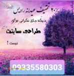 تخفیف عیدانه طراحی سایت رادیس افزار