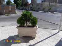 تولیدکننده فلاور باکس