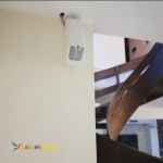 دزدگیر ساختمان غرب تهران