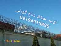 حفاظ شاخ گوزنی