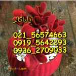 دستگاه فلوک پاش و مخمل پاش ایلیاکالر09362709033