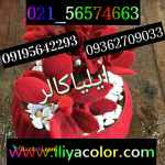 فروش دستگاه مخمل پاش  و پودر مخمل عالی09362709033