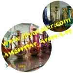 دستگاه فانتاکروم برقی09368071054