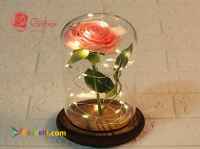 خرید هدیه ای خاص 