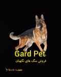 فروش سگ نگهبان