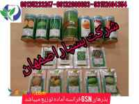 انواع بذر سبزی و صیفیحات