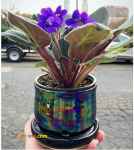 ابکاری / فروش مواد ابکاری 