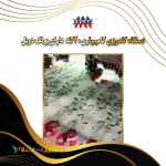 فروش جدیدترین دستگاه گلدوزی کامپیوتری 20 کله دارای پولک دوبل