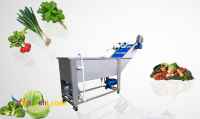 دستگاه شست  وشو میوه و سبزی
