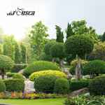 فروشگاه اینترنتی گل و گیاه